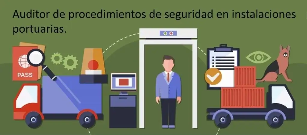 Auditor de procedimientos de seguridad en instalaciones portuarias