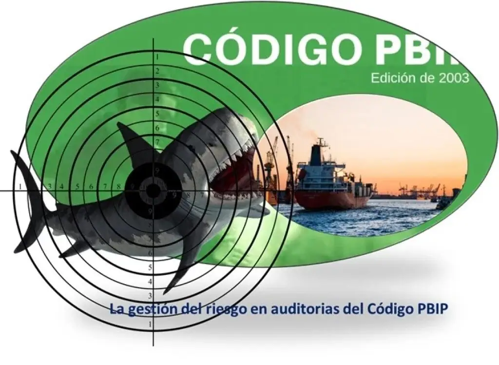 La gestión del riesgo en auditorias del Código PBIP